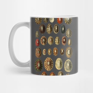 Limpet Shells Vintage Antique Scientific Natural History Illustration Mug